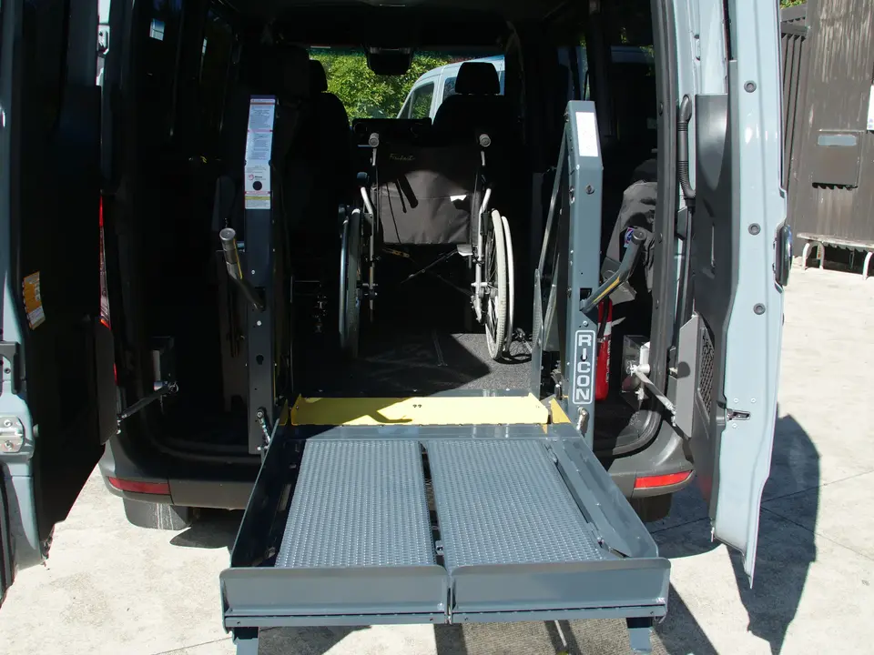 S1231 Hoist